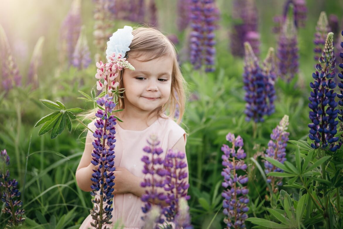 little girl in pink dress in field with flowers. girl with purple lupine flowers. Child in nature